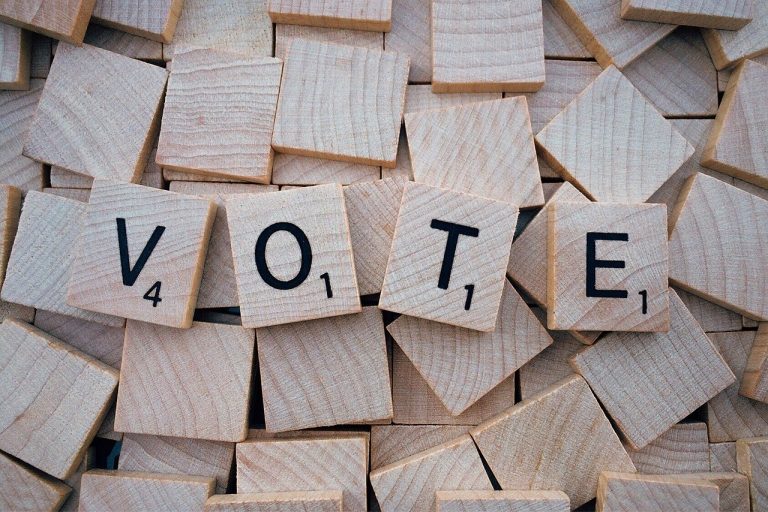 voter
